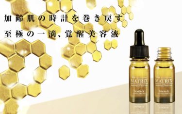 nano PDS NMN-X powder サプリメント│【正規加盟店】アイテック製品 