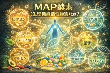 MAP酵素とは？ホルモンバランスを整える生理機能活性物質を専門家が解説