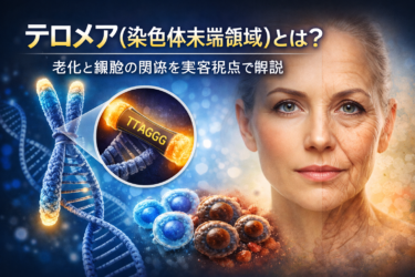 テロメアとは?染色体末端領域と細胞老化の関係、美容と健康寿命を守る生活習慣